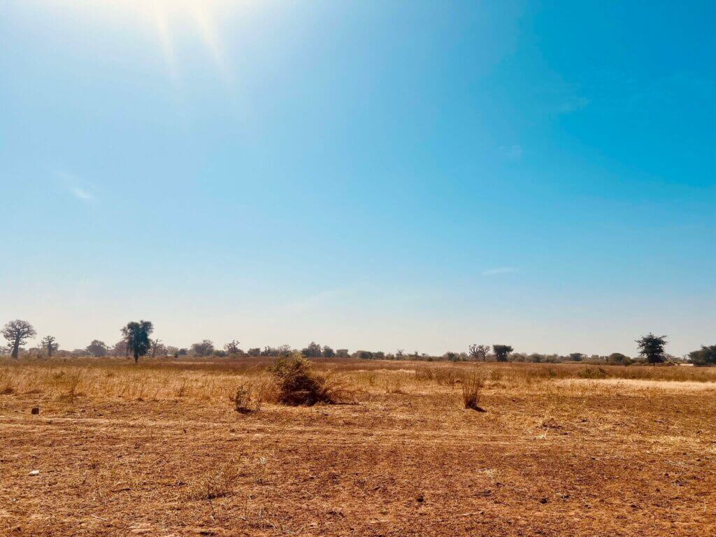 Terrain à vendre a Sinthiou Mbadane (1)