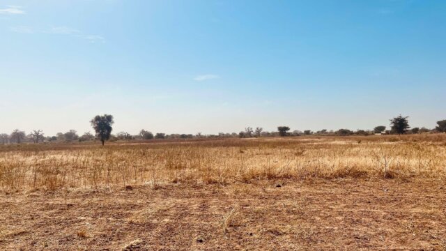 Terrain à vendre a Sinthiou Mbadane (2)