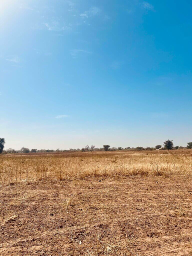 Terrain à vendre a Sinthiou Mbadane (3)