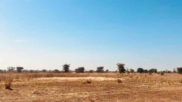 Terrain à vendre à mbour (1)