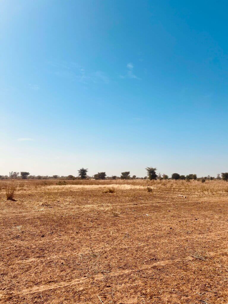 Terrain à vendre à mbour (1)